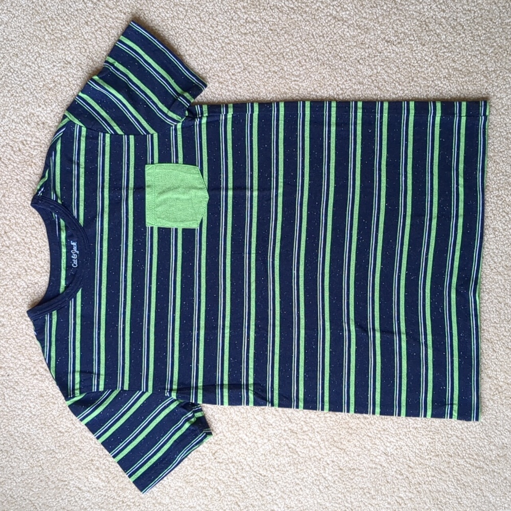 Big Boys Blue & Green Striped T-shirt (Size L 12/14)